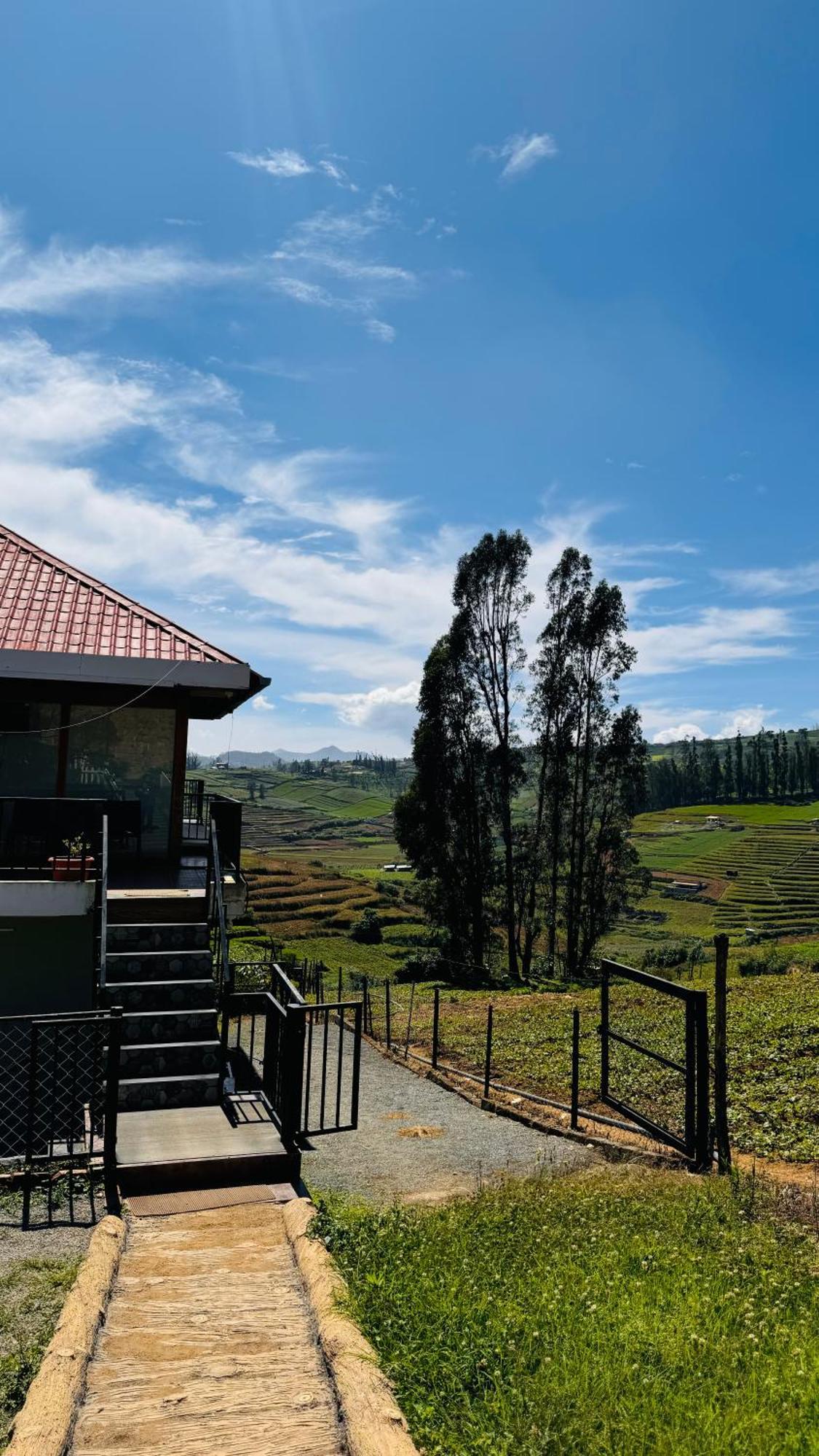 The Wooden Springs Bed and Breakfast Ooty Εξωτερικό φωτογραφία